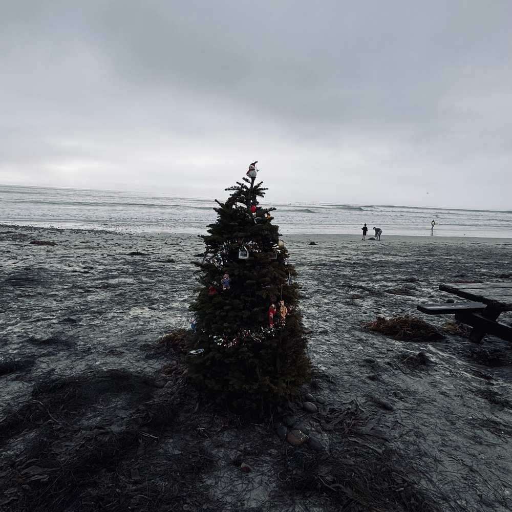 Meet your Posher, Wes